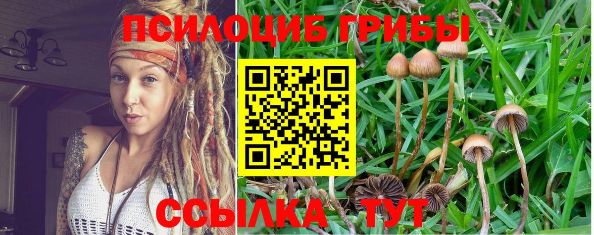 Галлюциногенные грибы GOLDEN TEACHER Гай